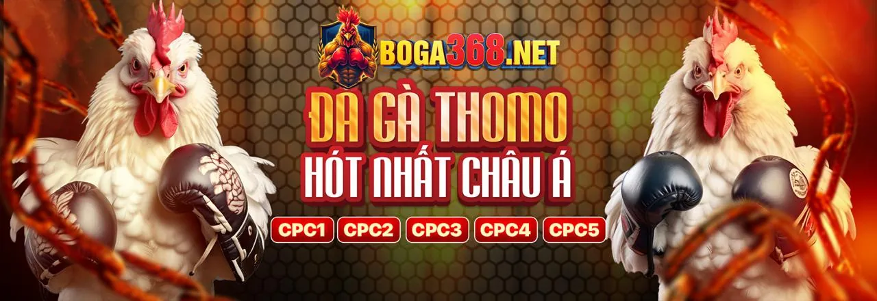 Đánh giá chuyên sâu nền tảng cá cược sv368 bet