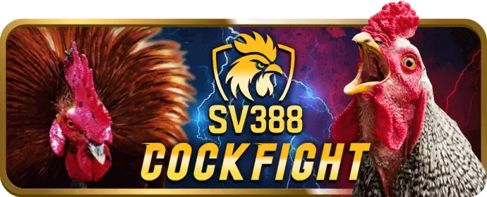Chương trình VIP độc quyền sv368 bet